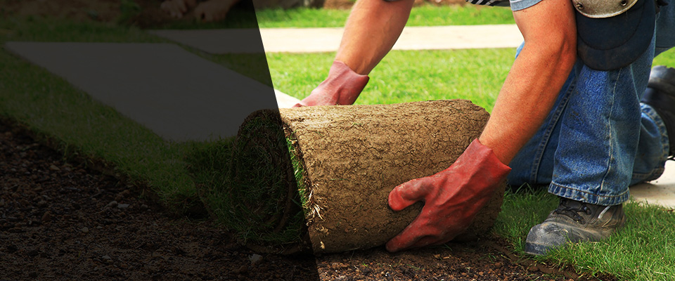 Northumberland Landscapers